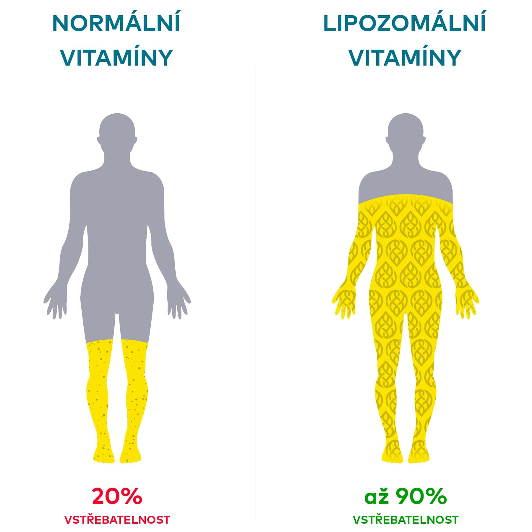 jpg-infografika-vstřebatelnost-lipozomalnich-vitaminu